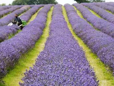 Ξεκίνησαν τα αγροτικά προγράμματα κατάρτ...