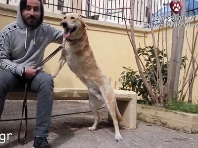 Το Τρυφερό Μήνυμα του Γιώργου Μαυρίδη γι...