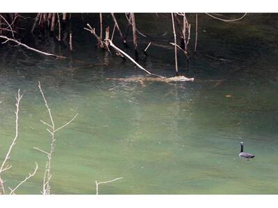 Μόνο ο τηλεοπτικός φακός “έχει συλλάβει”...