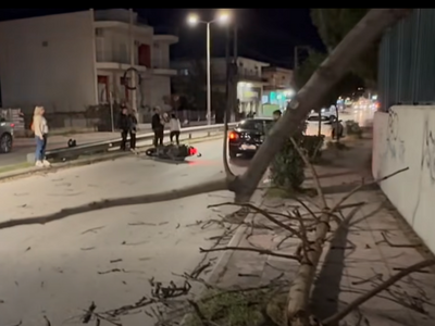Πάτρα-απίστευτο: Σωριάστηκε δέντρο παρασ...