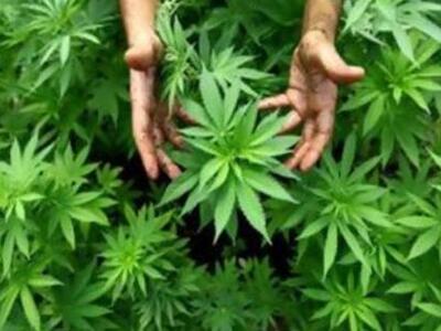 Πελοπόννησος: Αργυρό μετάλλιο στην ... κ...