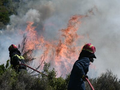 Ηλεία: πυρκαγιά σε βάλτο στο Μπρινιά Μανωλάδας