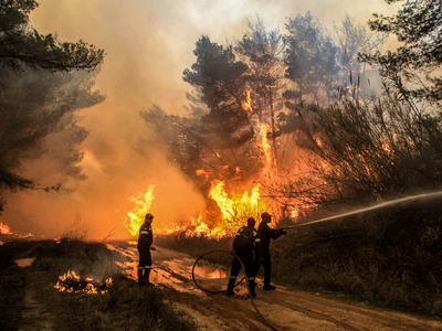 H καταστροφή στην προστατευόμενη Στροφυλ...