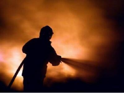 Αυγείο δήμου Ήλιδας: Καταστράφηκε αγροικ...