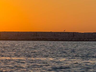 Πελαργός αγνοεί το ηλιοβασίλεμα στον κυματοθραύστη