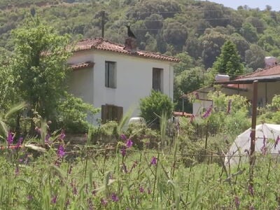 ΕΛΑΣ για κακοποίηση ηλικιωμένου στην Αμφ...