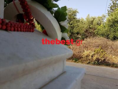 Ένα βουνό κλαριά από ελιές, έχει καταργή...