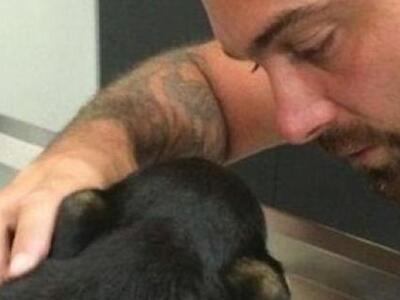 Κρήτη: Τουρίστες έσωσαν κουτάβι που πετά...