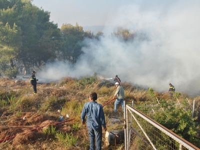 Δέκα στρέμματα έκαψε η φωτιά στην Κάτω Βασιλική