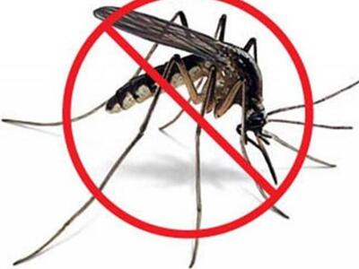 12 tips για να απαλλαγείτε από τα κουνούπια