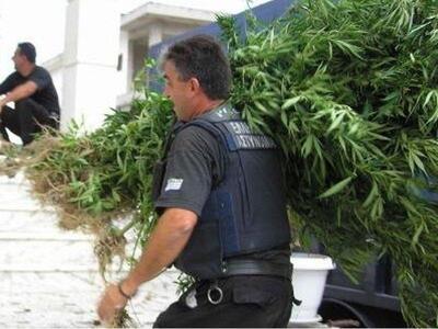 Ηλεία: Είχαν μετατρέψει το παράπηγμα σε ...