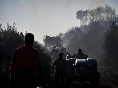 φωτο eurokinissi Περιστερι Ηλείας