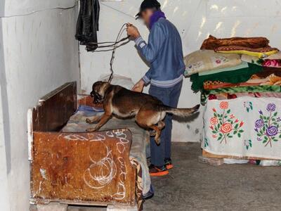 Πάτρα: Έφοδος της Αστυνομίας στον καταυλ...