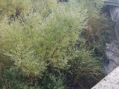 Το νερό με δυσκολία καταλήγει στη θάλασσα