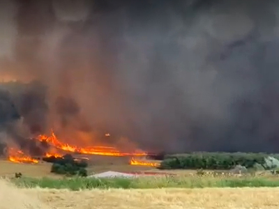 60 αγροτοδασικές πυρκαγιές εκδηλώθηκαν τ...