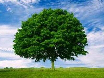 Δυτική Αχαϊα: Εκδηλώσεις για το περιβάλλον 