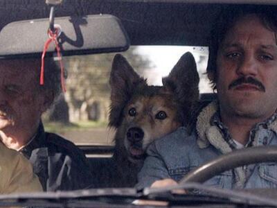 Πάτρα:Στον Άγιο Βασίλειο ο χειμερινός κι...