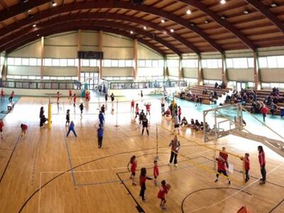 Χρυσά και αργυρά μετάλλια για τις φοιτητ...