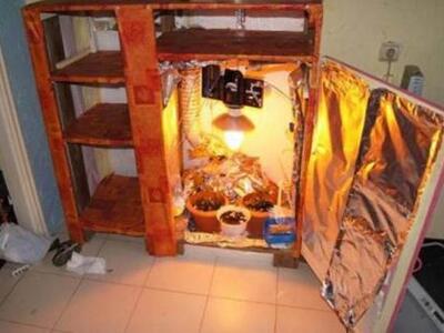 Πύργος: Καλλιεργούσε χασίς μέσα σε ντουλάπα!