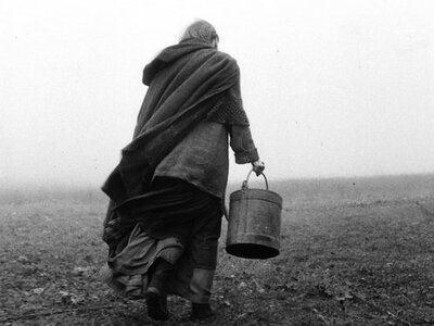 "Το Άλογο του Τορίνο".