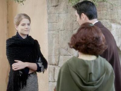 Άγριες μέλισσες: Χριστούγεννα στο Διαφάν...