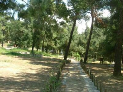 Εθελοντικός καθαρισμός του Δασυλλίου αυτ...