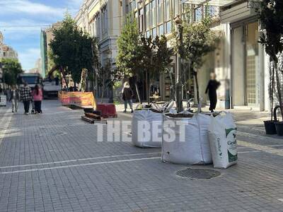 Πάτρα: Φυτεύουν δέντρα στον πεζόδρομο τη...