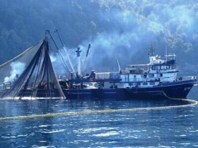 Σκάφη του Λιμενικού έδιωξαν Τουρκικό αλι...