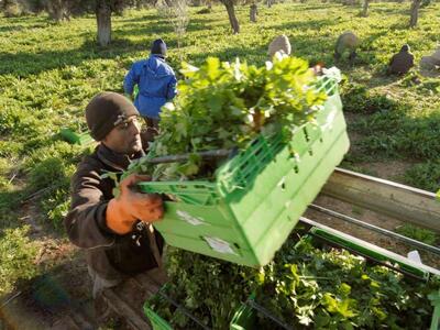 Η Ε.Ε. απαιτεί πίσω 424,8 εκατ. για αγρο...
