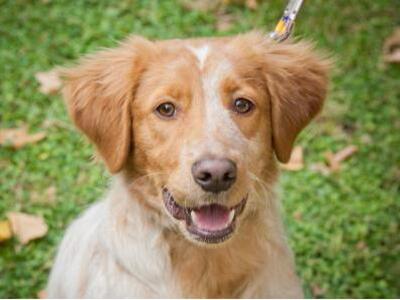 Τελευταία μέρα σήμερα για το παζάρι των ...