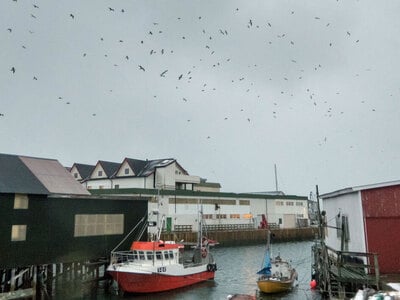 Το νησί χωρίς χρόνο: Οι κάτοικοι ζουν χω...