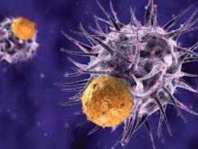 Τα καρκινικά κύτταρα τρέφονται. Με τι..;