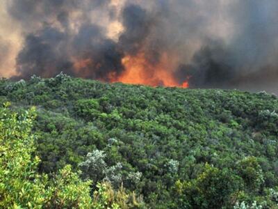 200 πυρκαγιές = 90.000 στρέμματα καμμένη...