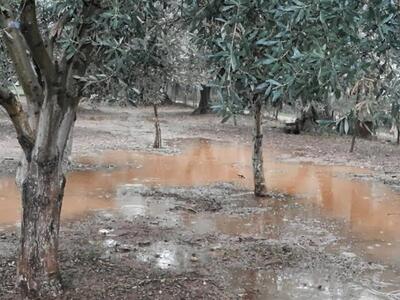 Αιτωλοακαρνανία: Ζητείται η παρέμβαση το...