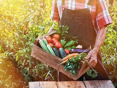 Βιολογική γεωργία: Διόρθωση σφαλμάτων έω...