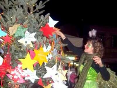 Αίγιο: "Δέντρα των Ευχών" στην...