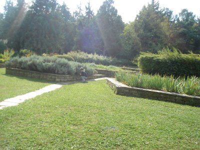 Πρόταση Φούρα για Βοτανικό Κήπο στην Πάτρα