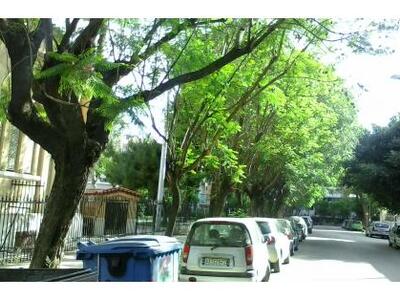 Πάτρα: Αίσθηση από το ρεπορτάζ του thebe...