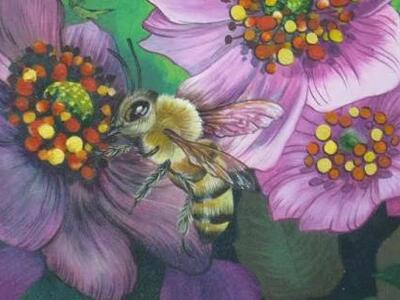 Εργαστήρι για την βασίλισσα των μελισσών...