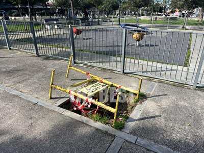 Πάτρα: Ξεριζώθηκε το δέντρο κι έμεινε μι...