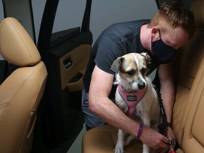 Πάτρα: Καταγγελία για τετράποδο κλειδωμέ...