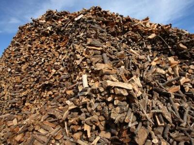 Αιτωλοακαρνανία: Κύκλωμα λαθροϋλοτόμων κ...