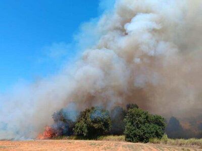 Φωτιά- Τραγανό: Στάχτη 20 στρέμματα αγρο...