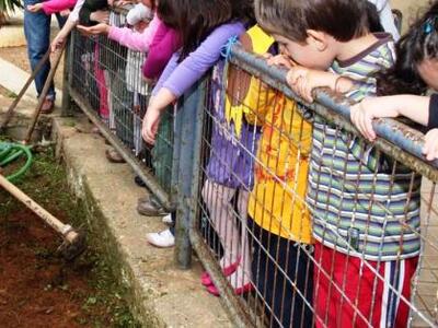 Στην Τρίπολη το πρώτο "πράσινο&quot...