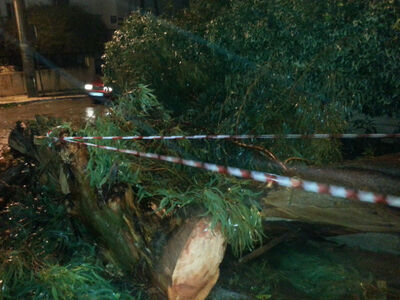 ΦΩΤΟ ΑΡΧΕΙΟΥ