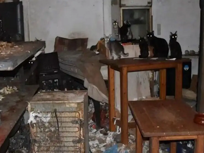 Δονούσα: 1,7 εκατομμύρια ευρώ πρόστιμο σ...