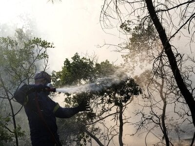 Μεγάλη φωτιά στο Ποικίλο Όρος – Συναγερμ...