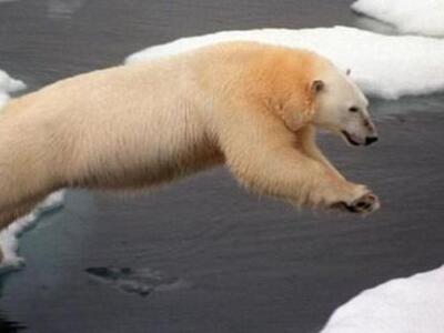 Νέο καμπανάκι IPCC για το κλίμα