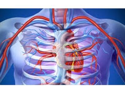 «Τα χέρια σας μπορούν να σώσουν μία ζωή&...