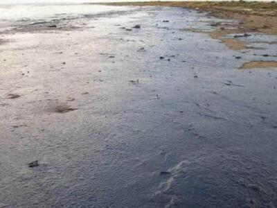 Κάμπος Ηλείας: "Πότισε" το χωρ...